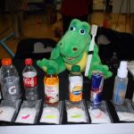 Wellness Fair